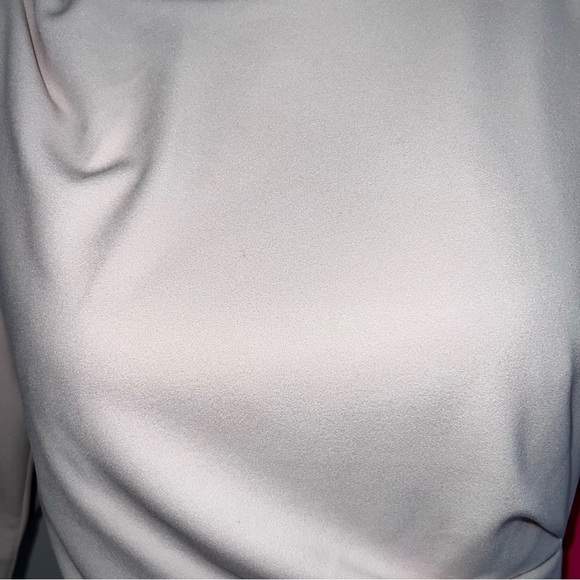 Betsey Johnson Size 8 Women’s Shift Dress. Pink Dress Short Sleeves NWT - Picture 3 of 15